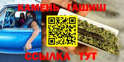 сатива Гудермес