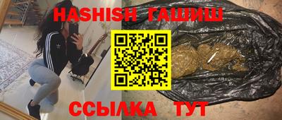 сатива Гудермес