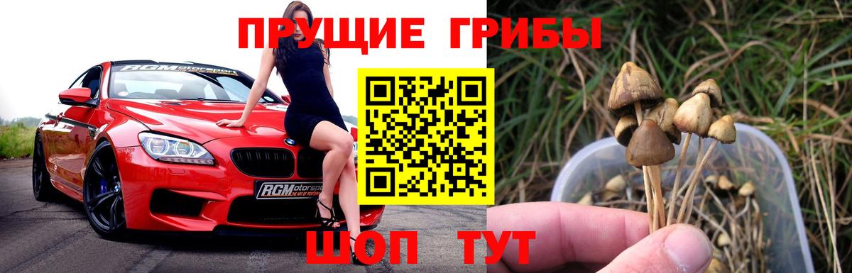 магазин  наркотиков  Галлюциногенные грибы ЛСД  Вход с VPN  Гусиноозёрск  Галлюциногенные грибы Magic Shrooms 
