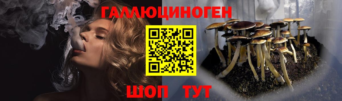 Псилоцибиновые грибы ЛСД Гусиноозёрск